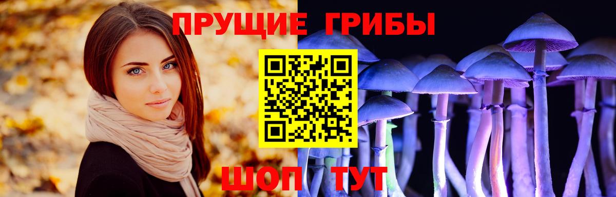 Галлюциногенные грибы Psilocybe  где продают   Вход с VPN  Кизляр  Галлюциногенные грибы MAGIC MUSHROOMS 